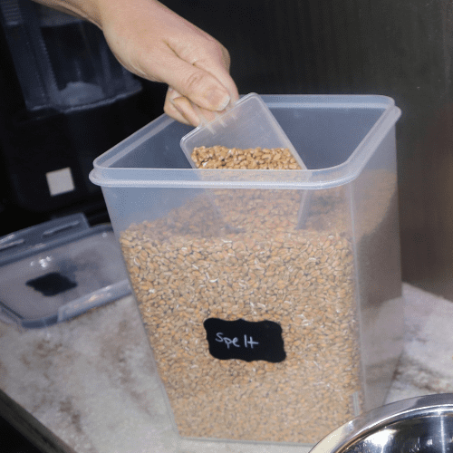 hand scooping out whole wheat berries from a clear square shaped plastic storage bin