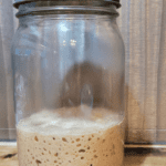 mason jar of fresh milled flour sourdough starter showing the bubbles it is naturally creating