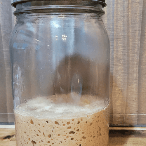 How To Make A Sourdough Starter At Home - Tips, Tricks And