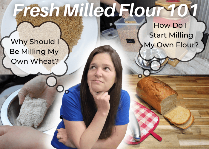 Fresh Milled Flour 101 course add. with a thinking woman, and pictures of wheat berries, freshly milled flour, a stone grain mill, and a loaf of bread in the background. Thought bubbles reading "How Do I Start Milling My Own Flour?" and "Why Should I Be Milling My Own Wheat?"