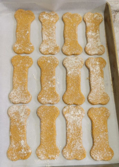 tray of unbaked pumpkin dog treats made with einkorn