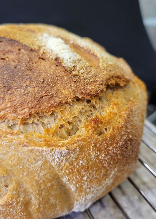 close up of a whole fresh milled flour sourdough loaf