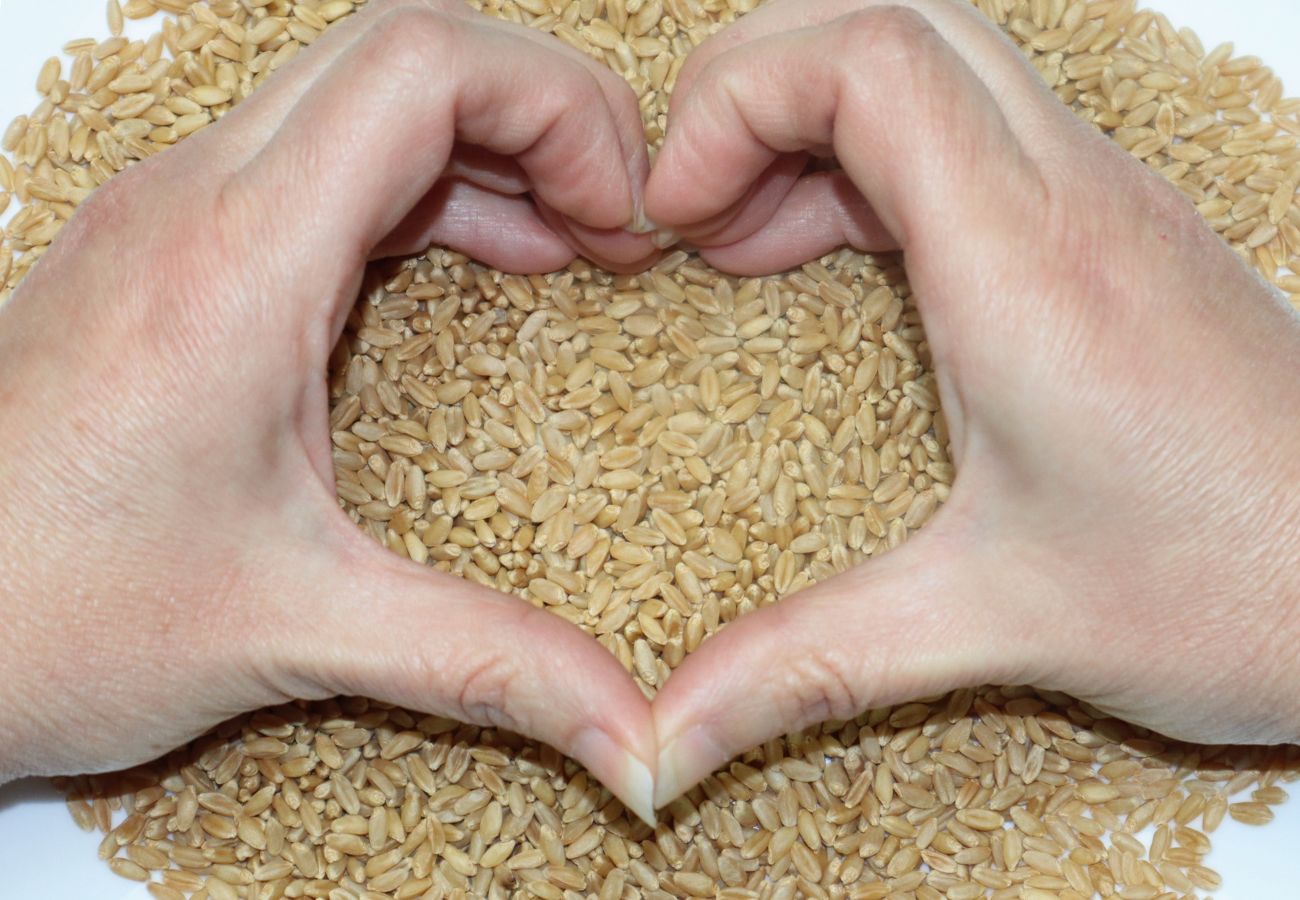 two hands forming a heart over a table full of wheat berries