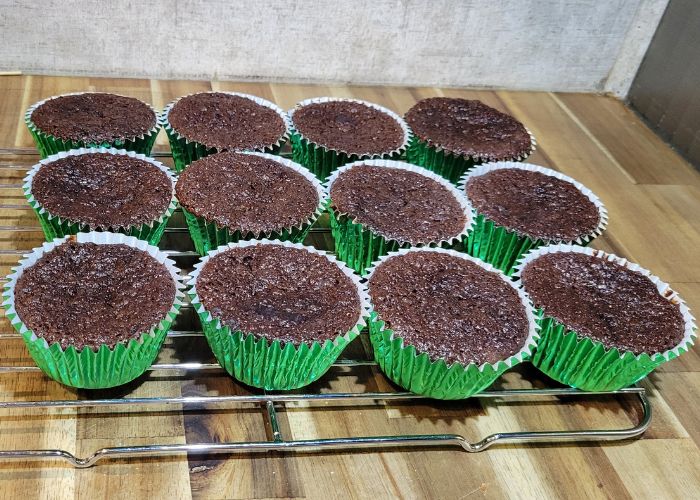 plain chocolate mint cupcakes made with fresh milled flour