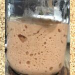 A jar of active Fresh Milled Flour Sourdough Starter
