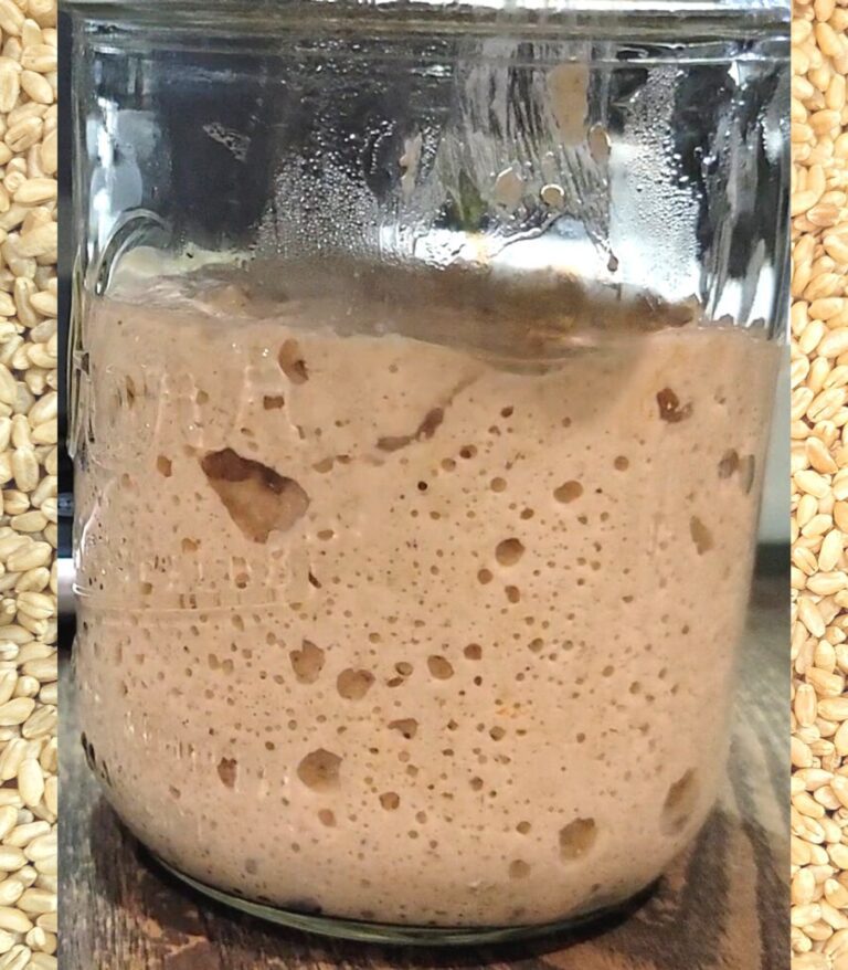 A jar of active Fresh Milled Flour Sourdough Starter