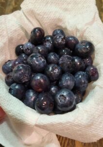 bowl of fresh blueberries