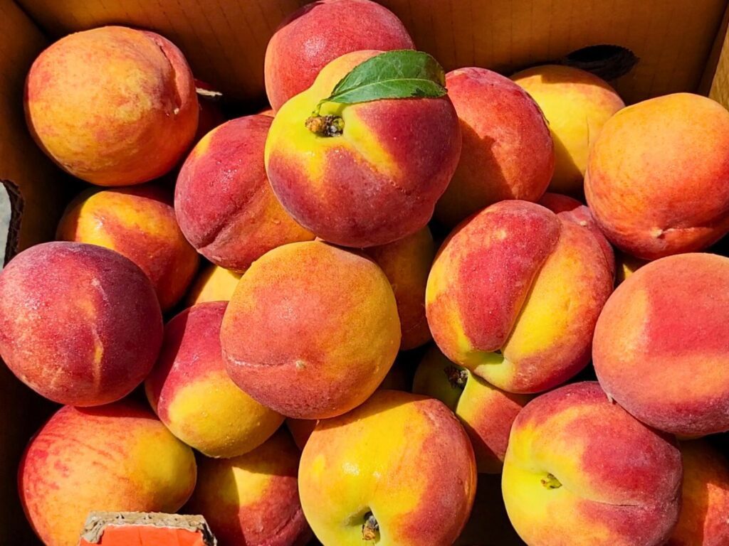 box of fresh peaches