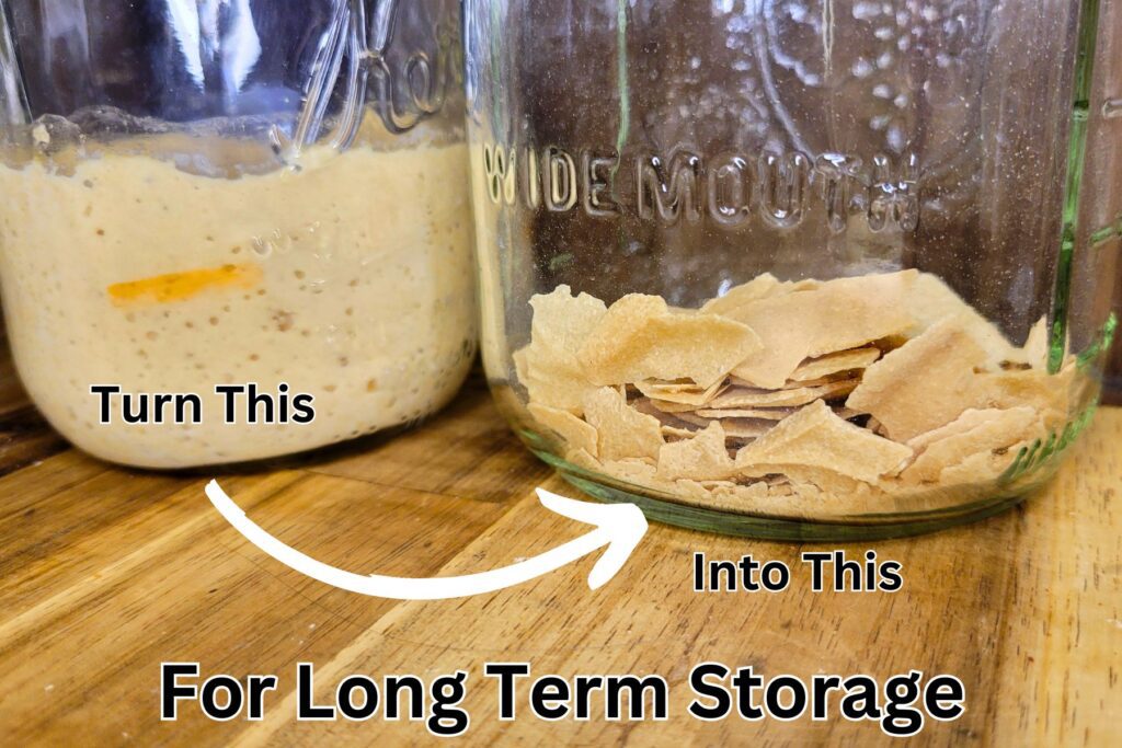 how to dry sourdough starter for long term storage