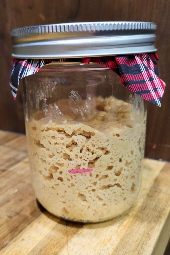 very active jar of fresh milled flour sourdough starter