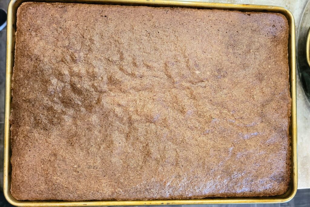 cooling the chocolate sourdough cake