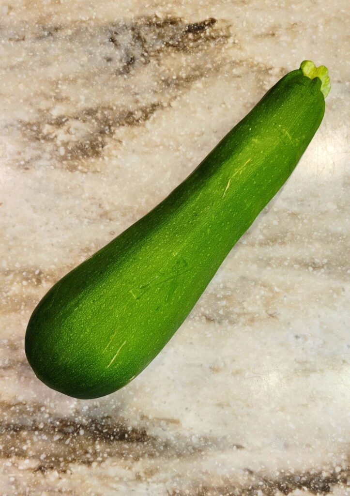 fresh garden Zucchini