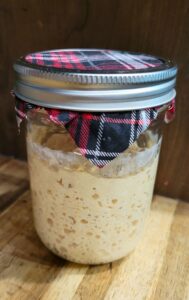 sourdough starter in a jar