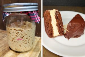 sourdough starter next to a fresh milled flour chocolate snack cake cut in half