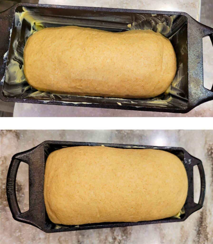 bread dough before and after rise