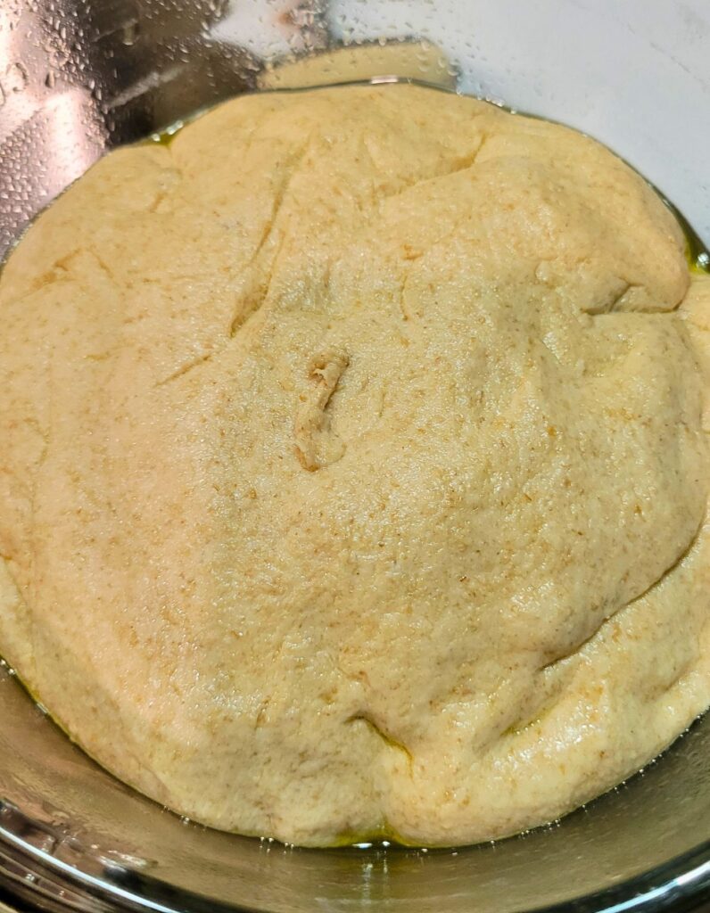 fresh milled flour sourdough pizza dough rising