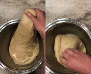 stretch and fold the fresh milled flour sourdough bread dough