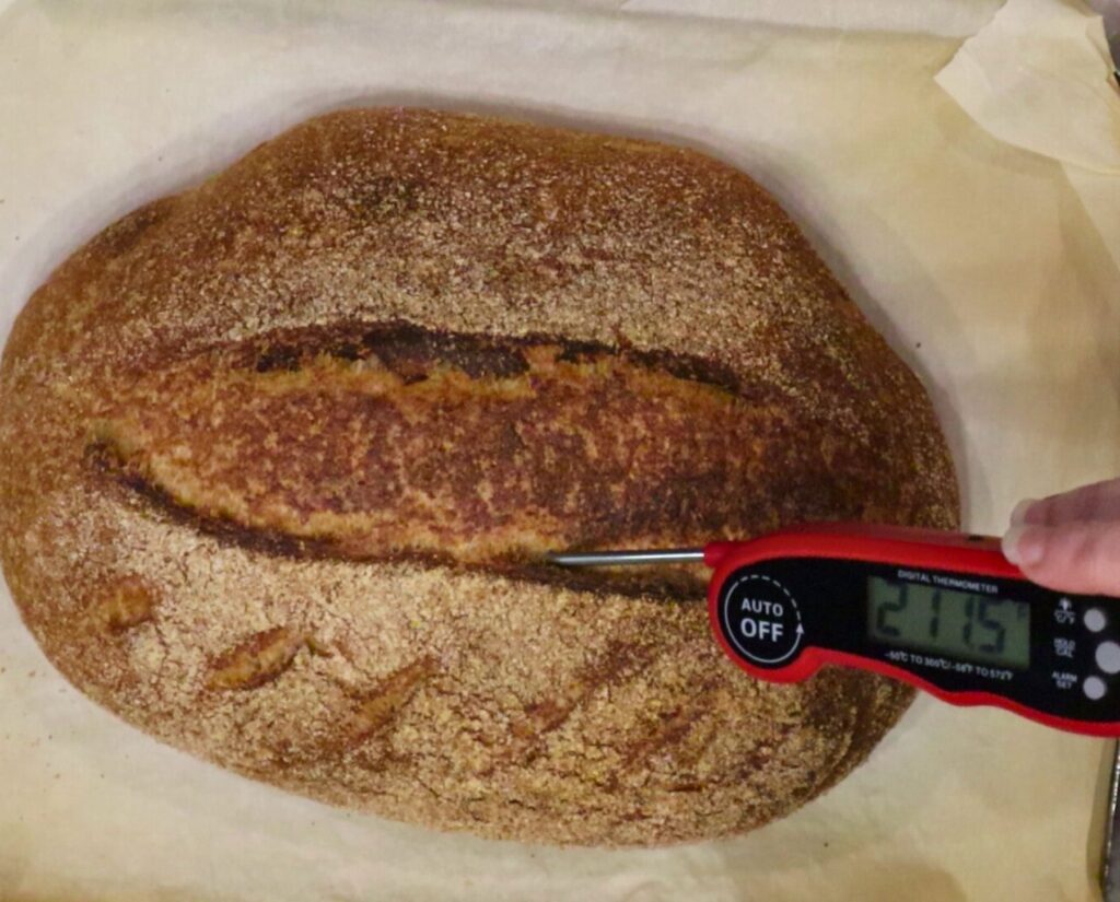 temping the center of the sourdough loaf to make sure it is done