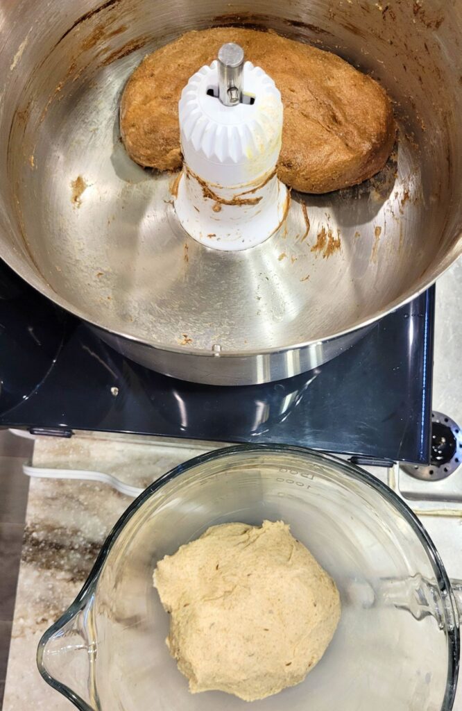 Two divided doughs to make the Marbled Rye bread with fresh milled flour.