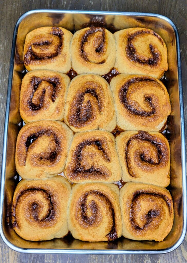 Fresh Milled Flour Cinnamon Rolls made with Sourdough Starter