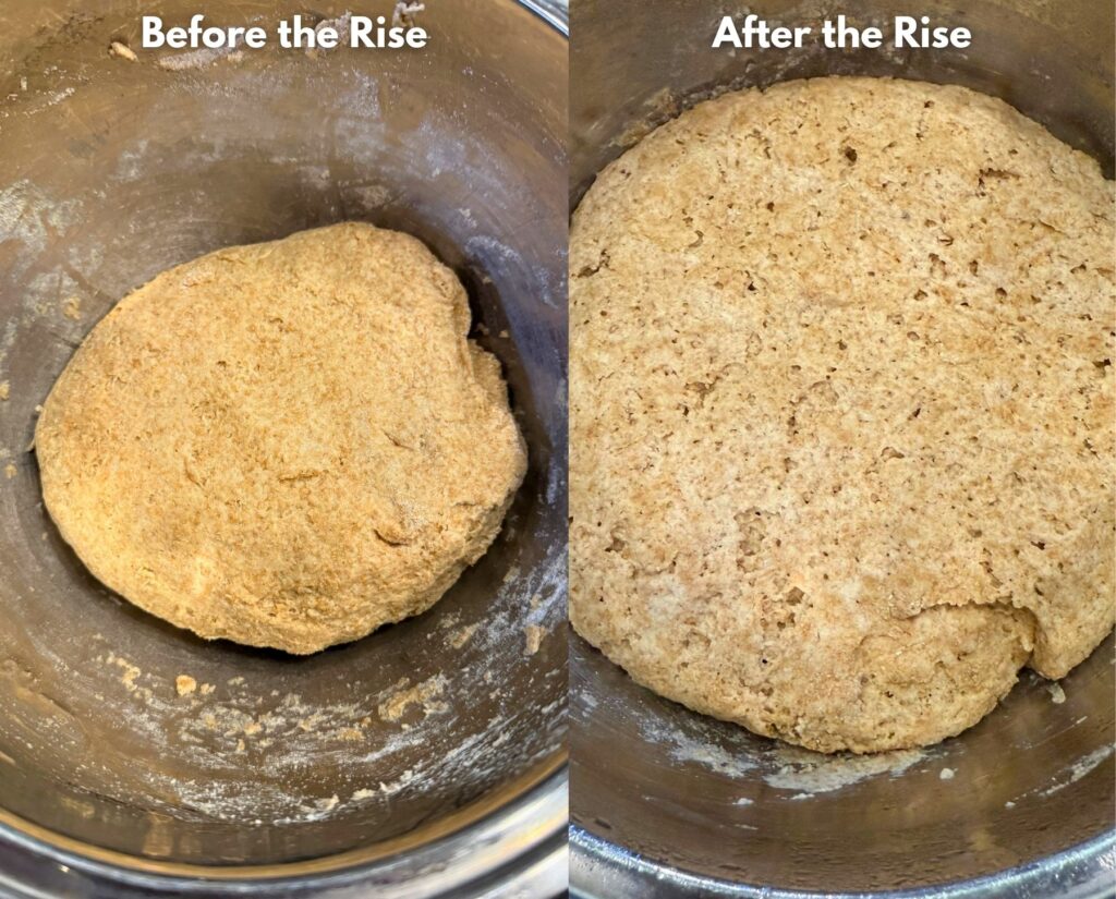 dough before and after the Rise